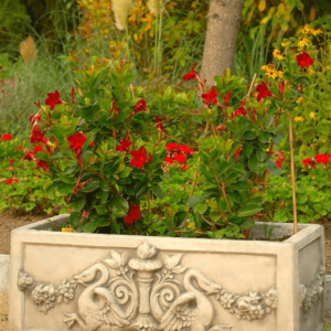 Jardiniera Mare de Gradina 2028