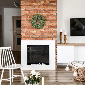 Freestanding Asne cu bioetanol