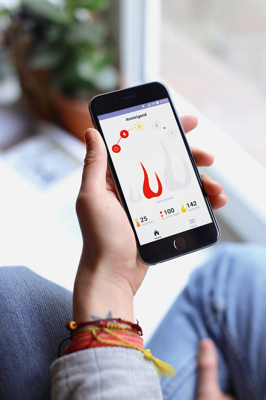 S thermatik Neo Sistem automat de control al semineului