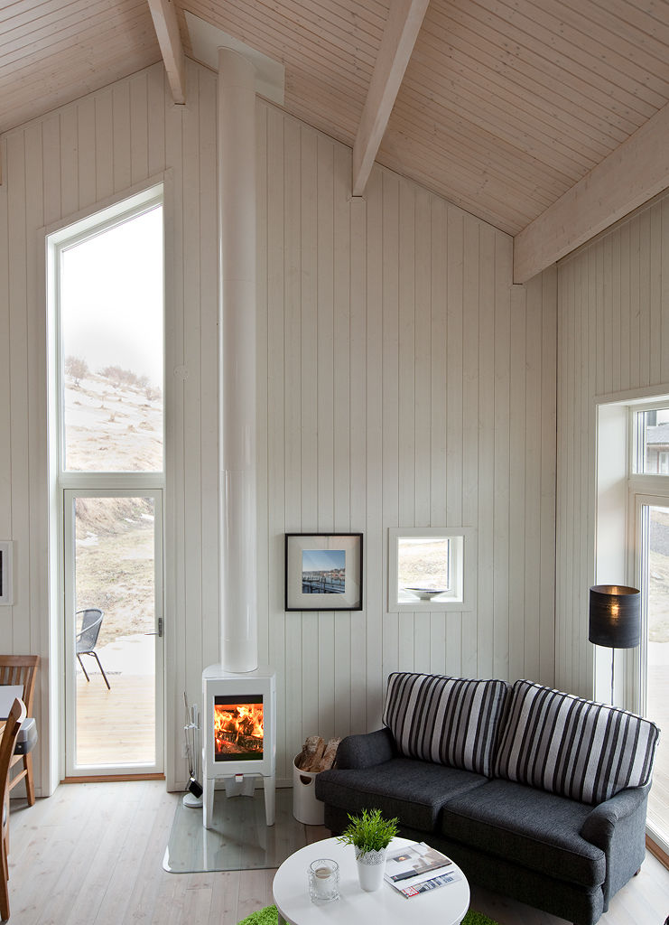 Jotul F 163 WHE