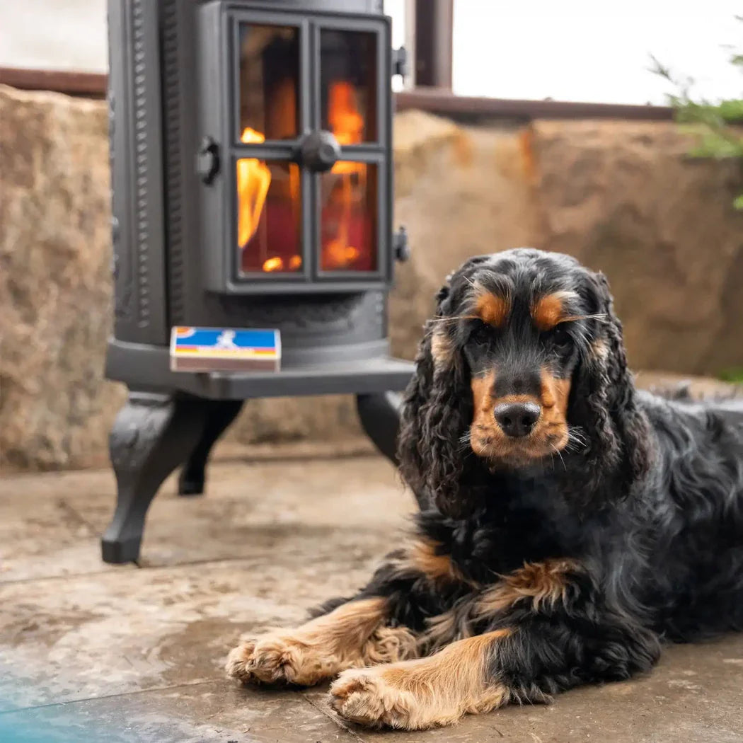 Șemineu Carl Bioetanol - Elegant și Durabil din Fontă, Perfect pentru Orice Casă